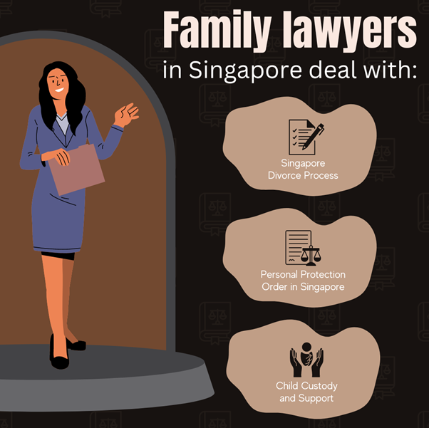 Criminal Lawyer In Singapore