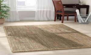 Are sisal rugs a great option for living room with pet
